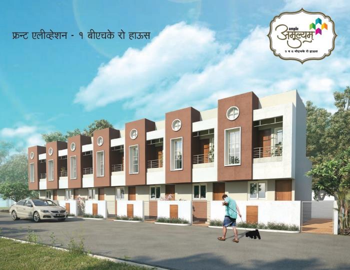 Ample Amulyam - Project Photo