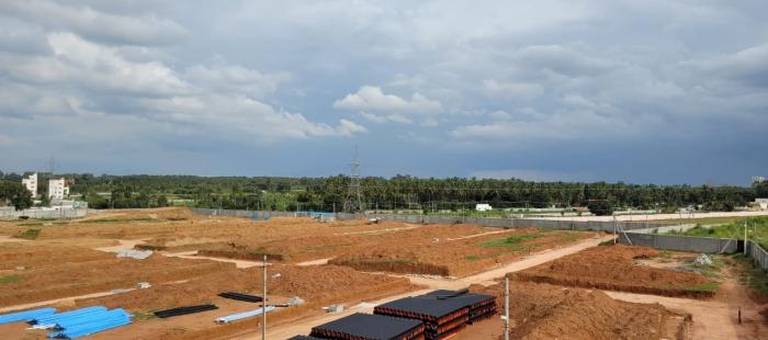 Luxuria Aurelius - Project Photo
