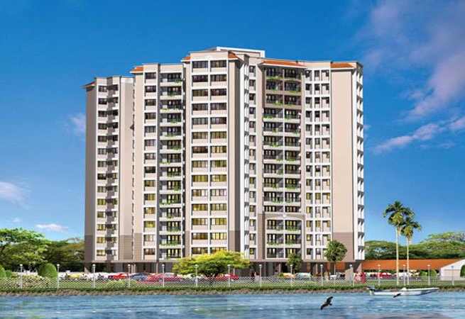 Skyline Aster - Banner Image