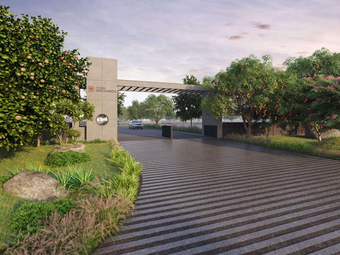 Arvind Orchards - Banner Image