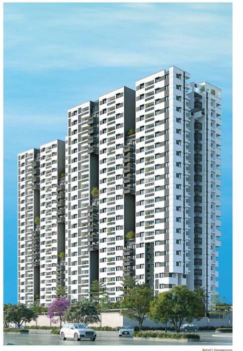 MJR North Park - Project Photo