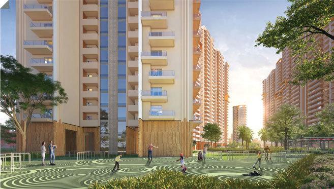 Ivory County - Project Photo