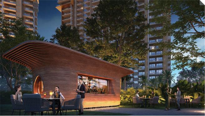 Ivory County - Project Photo