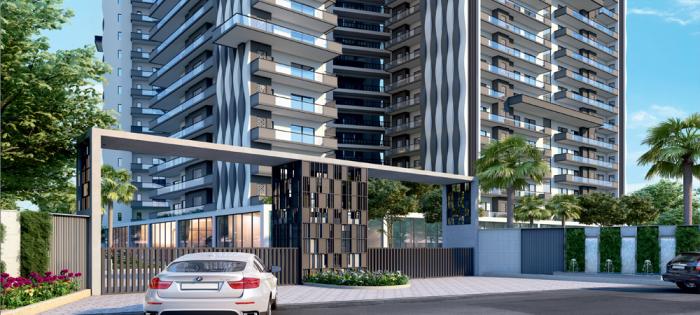 Iris Prime - Project Photo