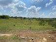 1227 Sqft Plot for Sale in Navallur, Chennai
