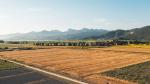 2000 Sqft Plot for Sale in Maan, Pune