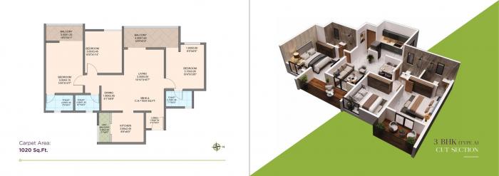Basil Flora - Floor Plan