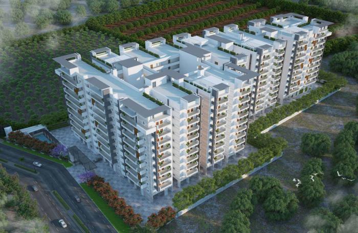 The Sking - Project Photo