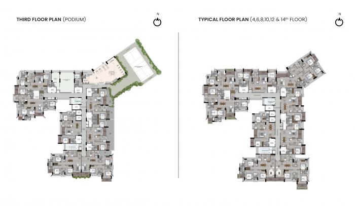 Aspan Celesta - Site Plan