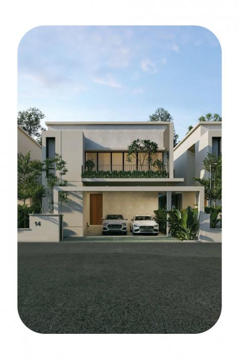 Hyba Bloom - Project Photo