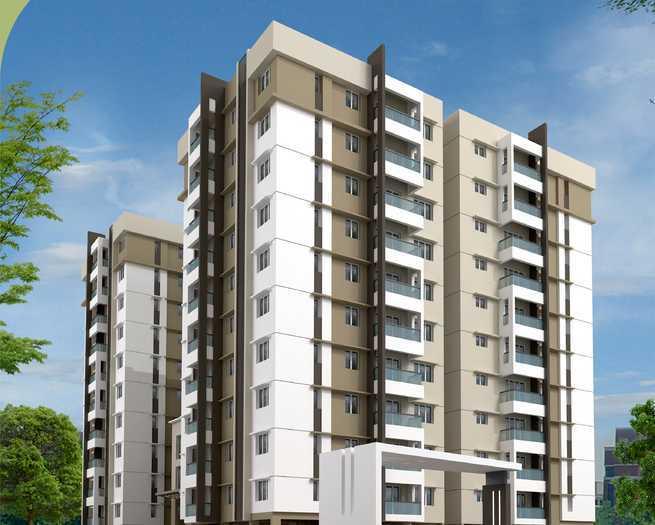 RC Meadows - Project Photo