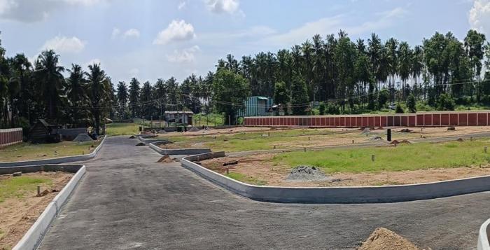 Milestone Avenue - Project Photo