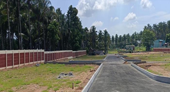 Milestone Avenue - Project Photo