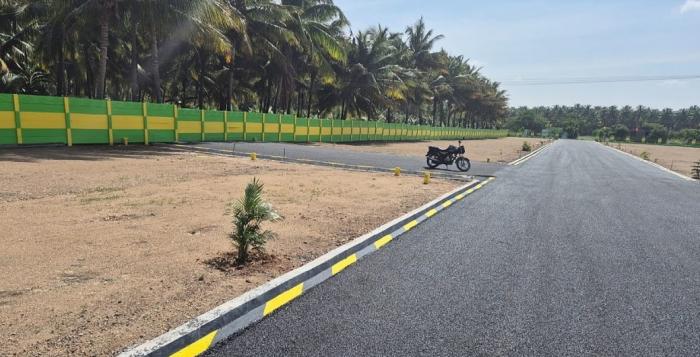 Somu Garden - Project Photo