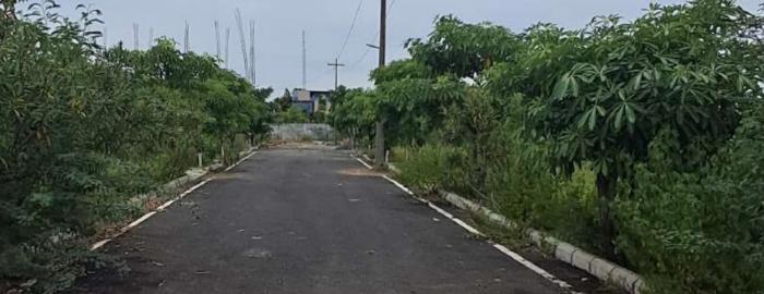 Urban Tree Silverfields Phase 3 - Project Photo