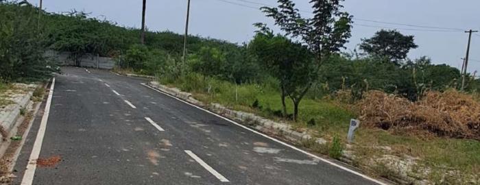 Urban Tree Silverfields Phase 3 - Project Photo