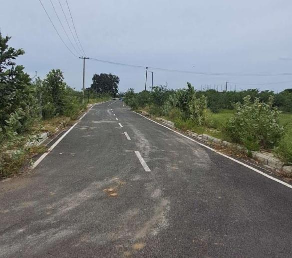 Urban Tree Silverfields Phase 3 - Project Photo