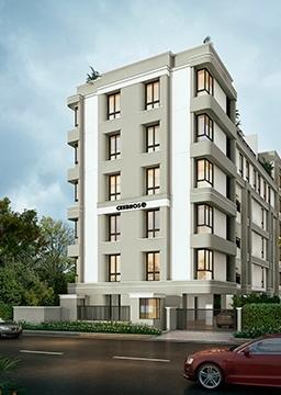 Ceebros Primrose - Banner Image