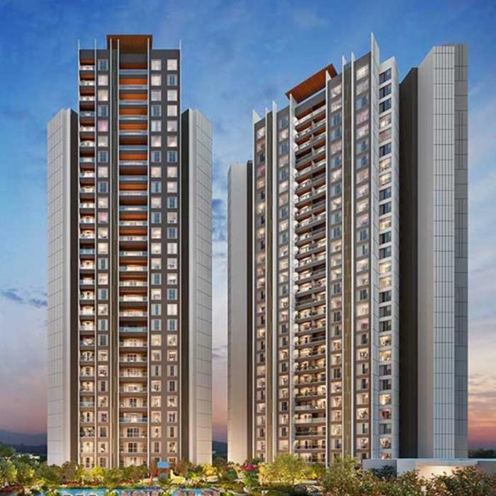 M Soul Strings - Project Photo