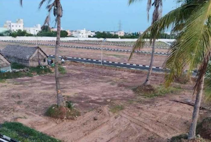 Green Field Layout - Project Photo