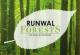 Runwal Forests
