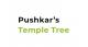 Pushkars Temple Tree