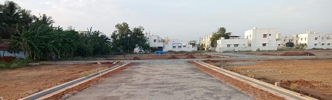 NMK Avenue - Project Photo