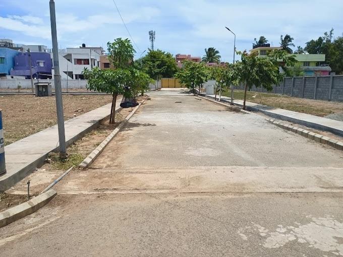 Thamara Pride - Project Photo