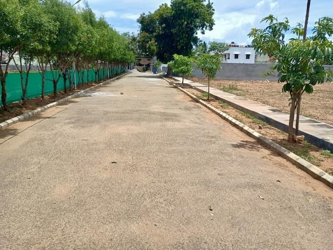 Thamara Pride - Project Photo