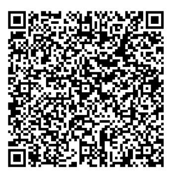 Dem Icon - Project Photo