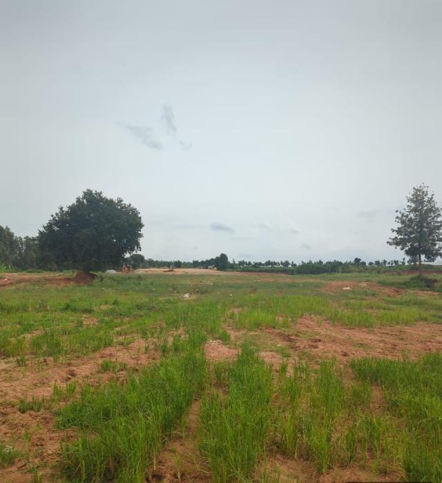 Guru Punvaanii Ernika - Project Photo