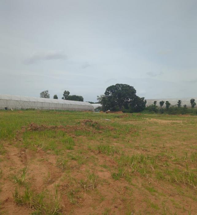 Guru Punvaanii Ernika - Banner Image