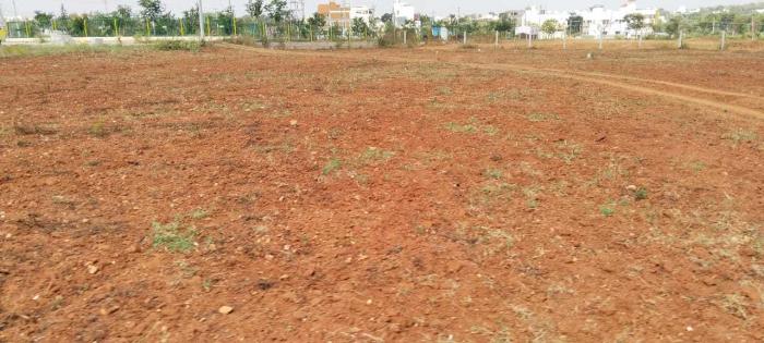 S P Meadows - Project Photo