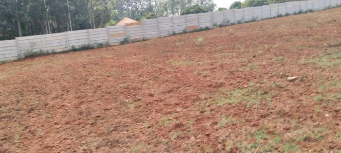 S P Meadows - Project Photo