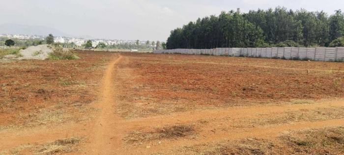 S P Meadows - Project Photo