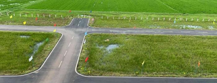 Olive Nagar Phase II - Project Photo