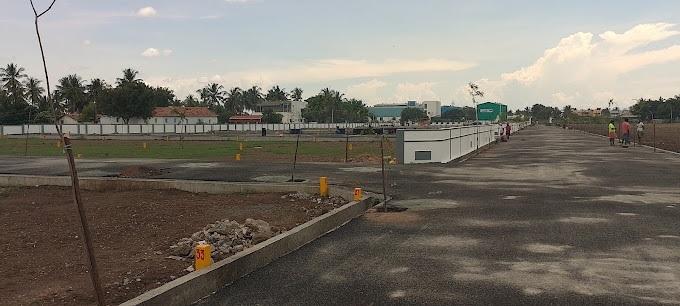Golden Crest - Project Photo