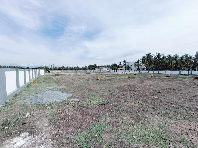 Golden Crest - Project Photo