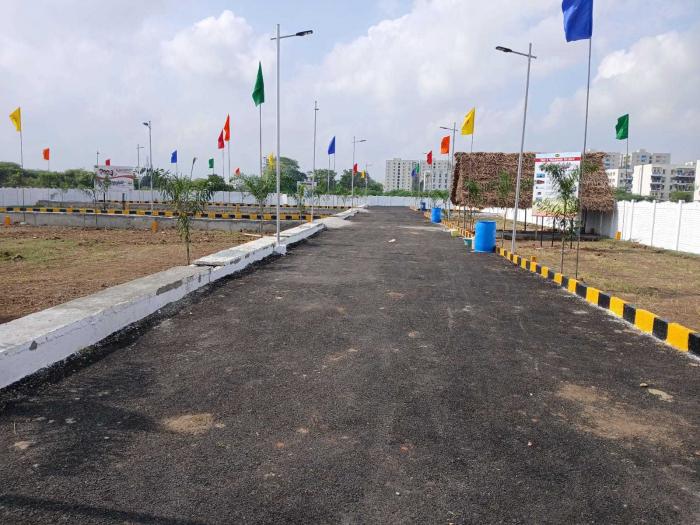 Spring Field - Project Photo