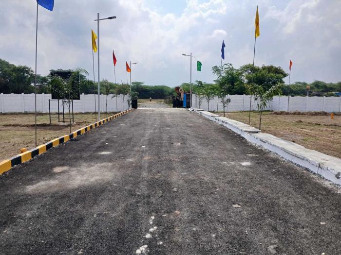 Spring Field - Project Photo