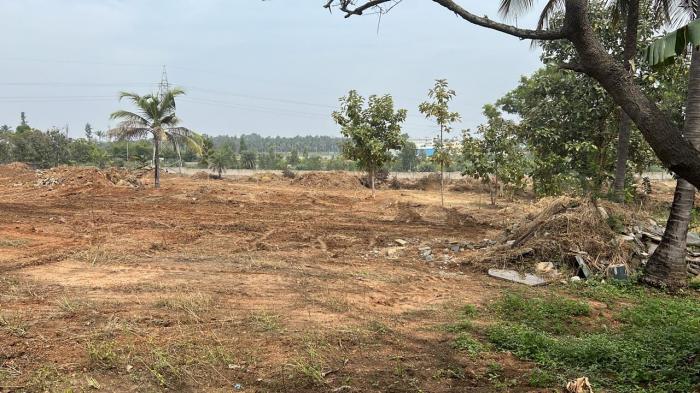 Bloomfields Layout - Project Photo