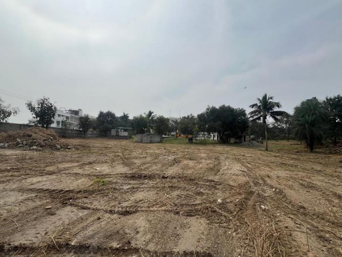 Bloomfields Layout - Project Photo