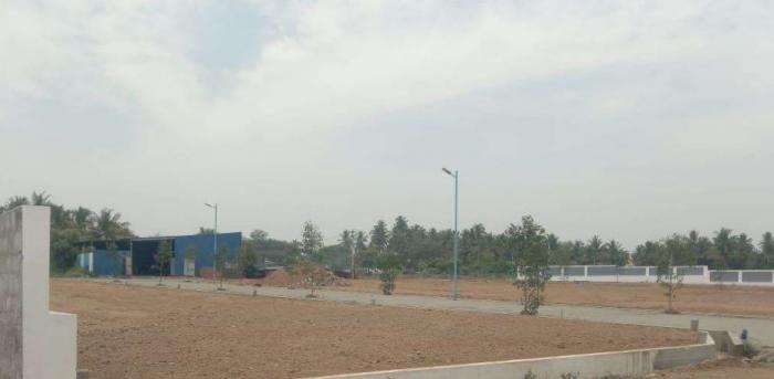 Venus Garden Plots - Project Photo