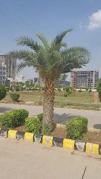 Shree Dham Nagar - Project Photo