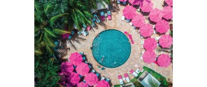 Nirvana Bougainvilla - Project Photo