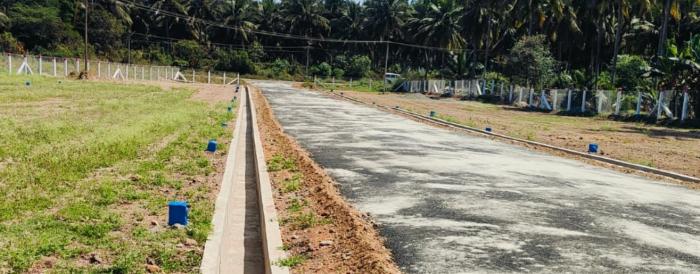 MSK Avenue - Project Photo