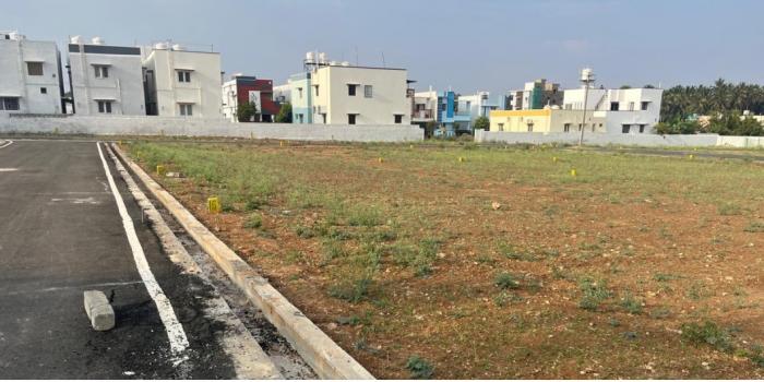 Golden Spring - Project Photo