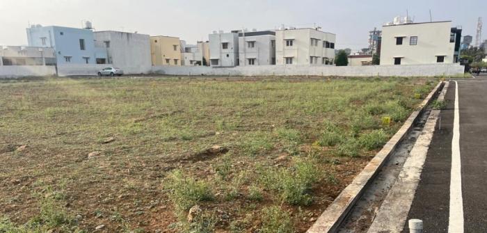 Golden Spring - Project Photo