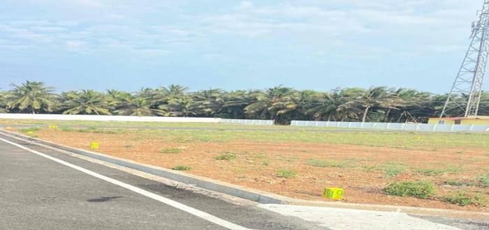 Golden Spring - Project Photo