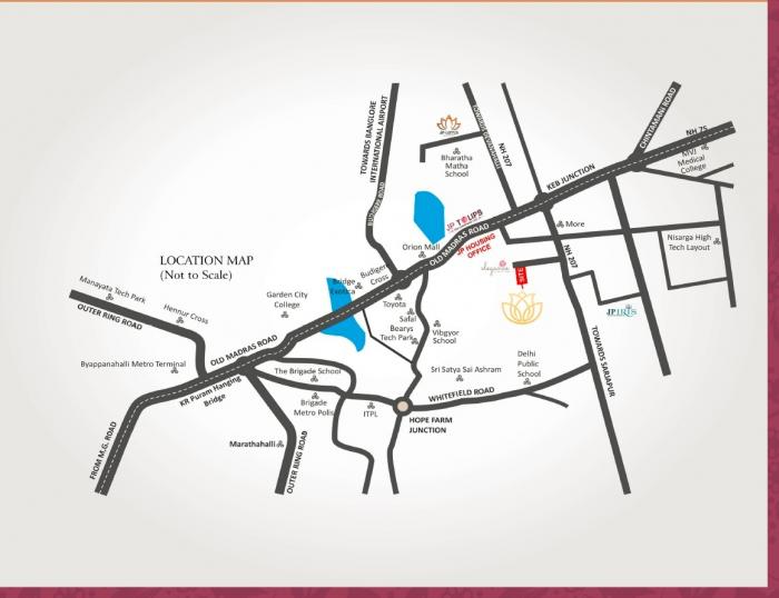 JP Lavender - Locality